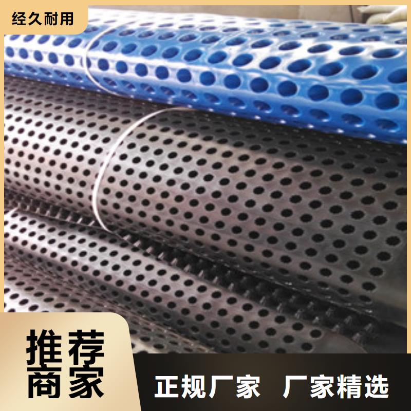 塑料排水板蓄排水板厂家认准大品牌厂家