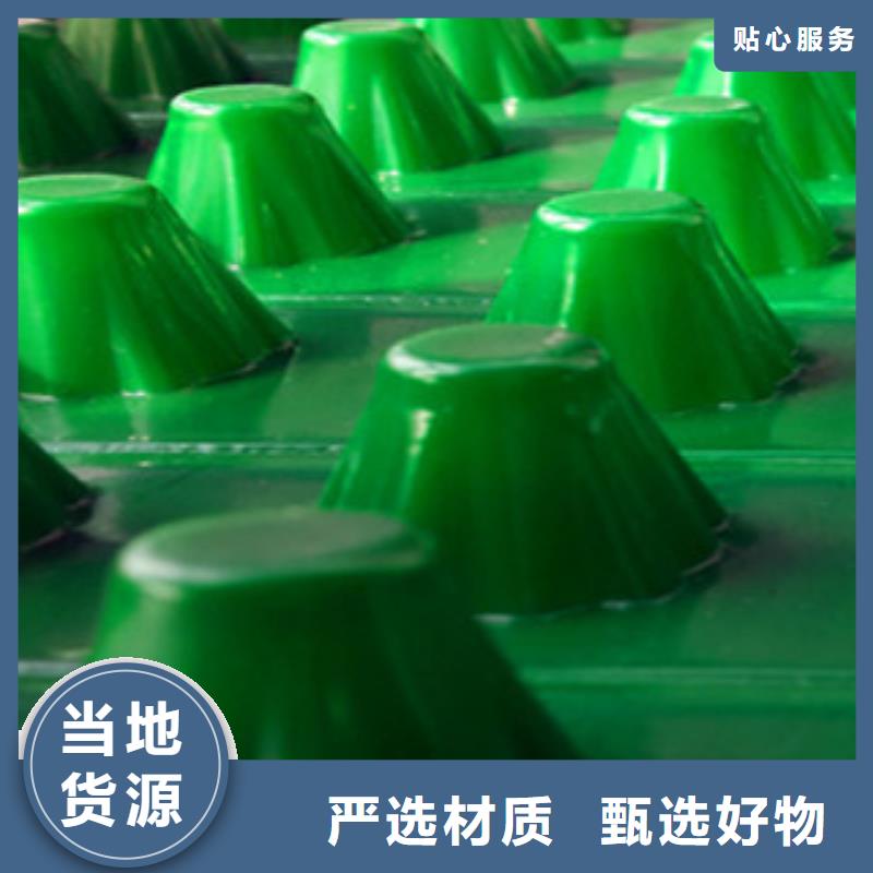 塑料排水板_蓄排水板厂家专业按需定制