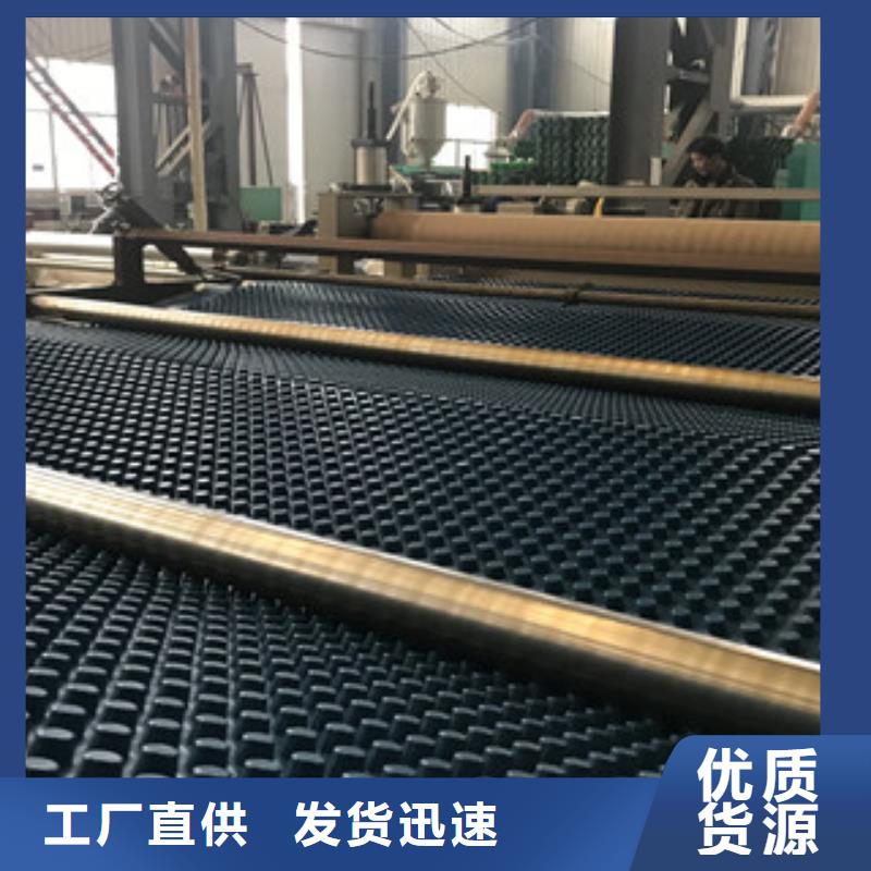 排水板蓄排水板厂家实拍展现