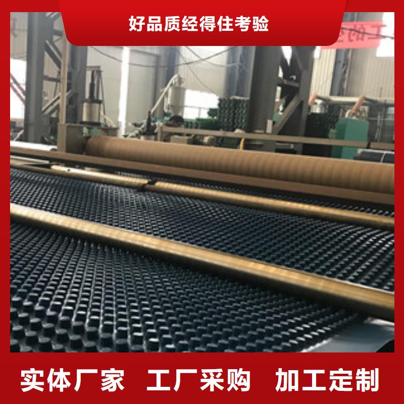 排水板蓄排水板厂家定制速度快工期短