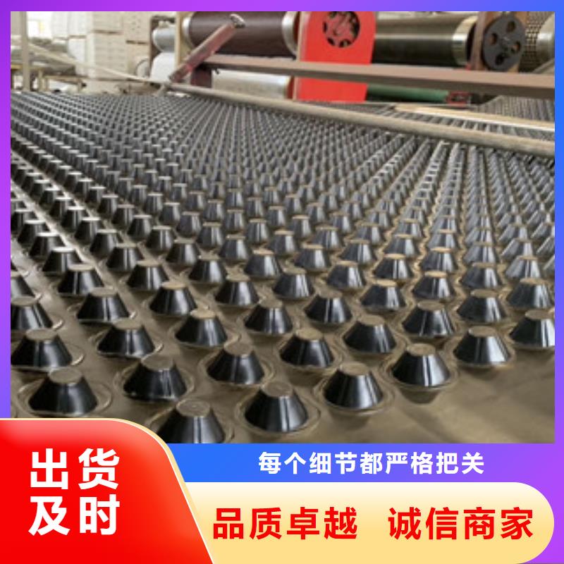 排水板蓄排水板厂家实拍展现