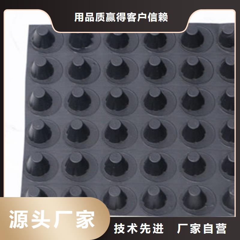 排水板-生态袋厂家严选用料