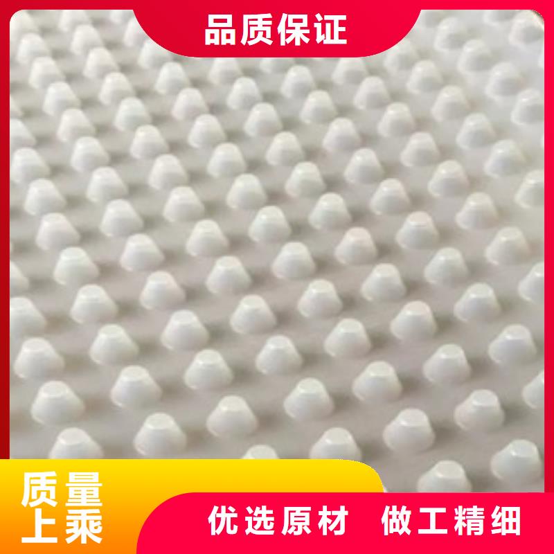 排水板蓄排水板厂家定制速度快工期短