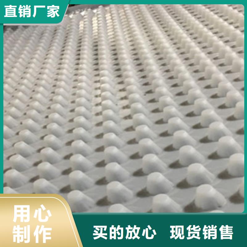 排水板_排水板厂家拒绝差价