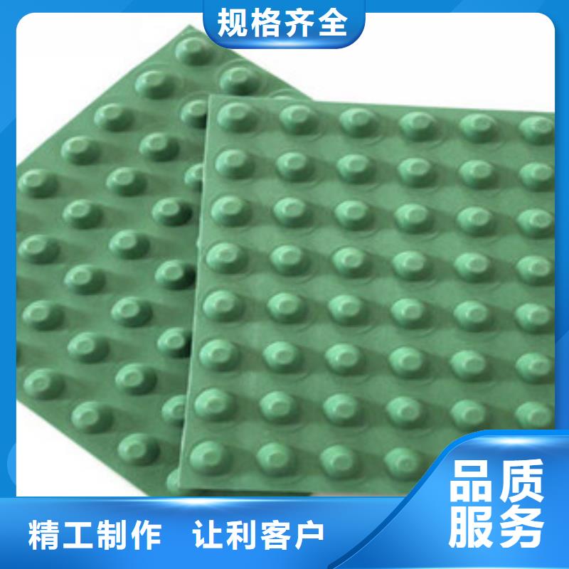 排水板蓄排水板厂家定制速度快工期短