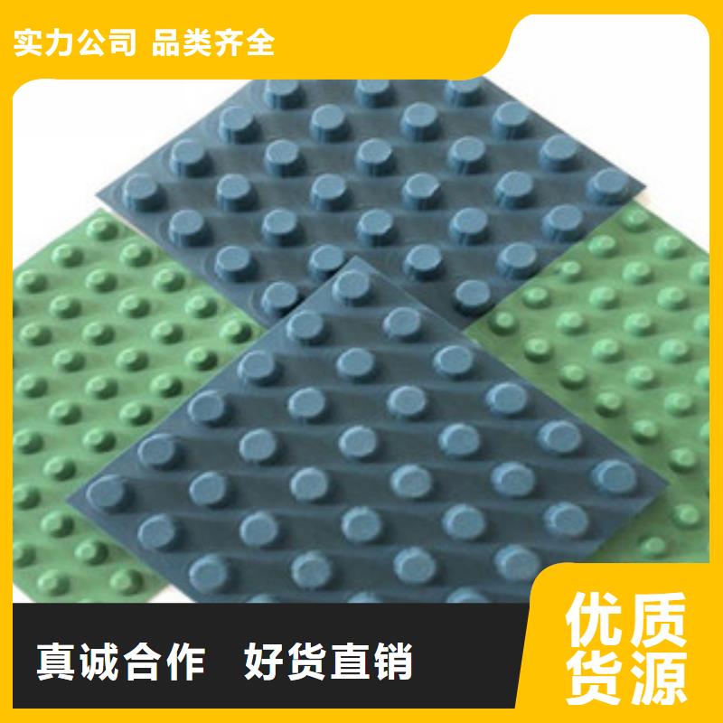 【排水板虹吸排水板厂家生产安装】