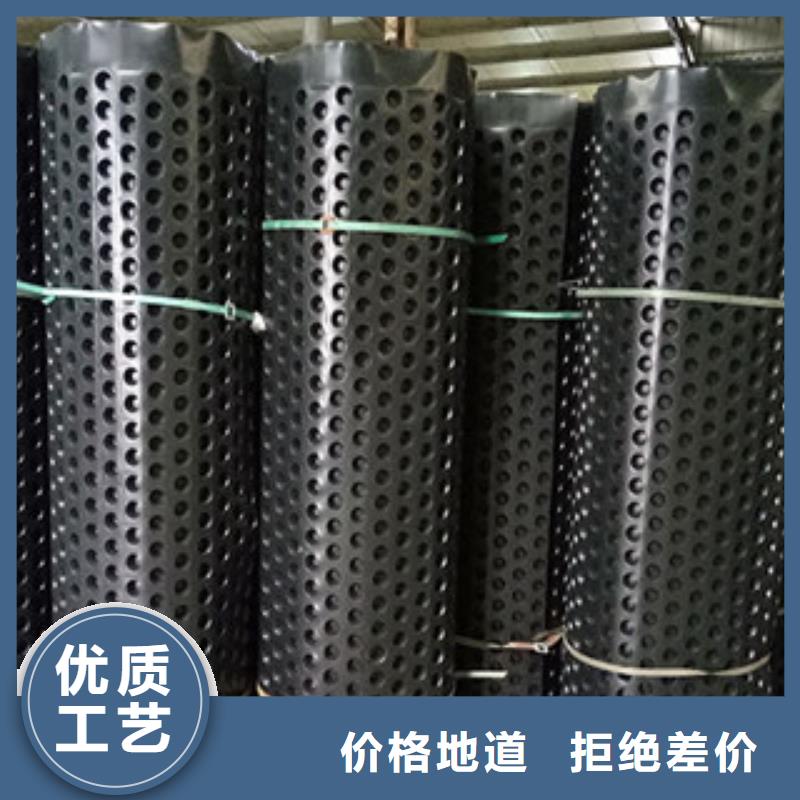 排水板蓄排水板厂家实拍展现