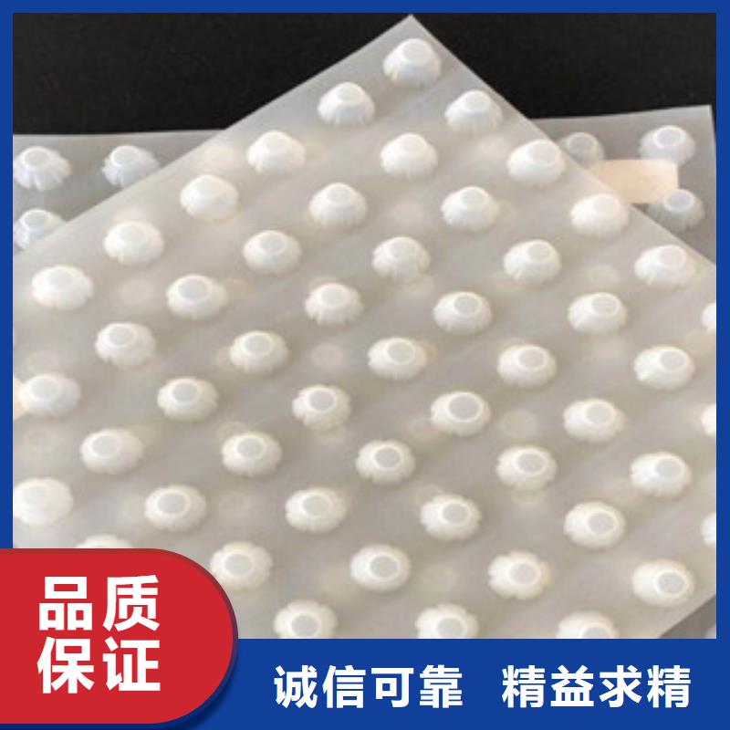 蓄水排水板哪家好？