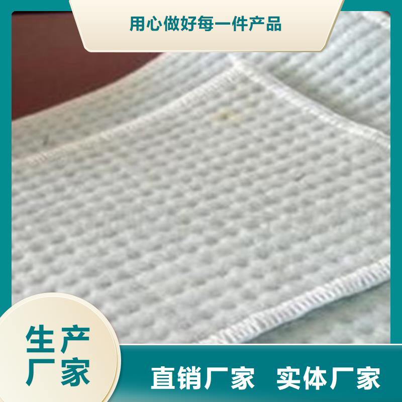 防水毯土工膜厂家好品质选我们