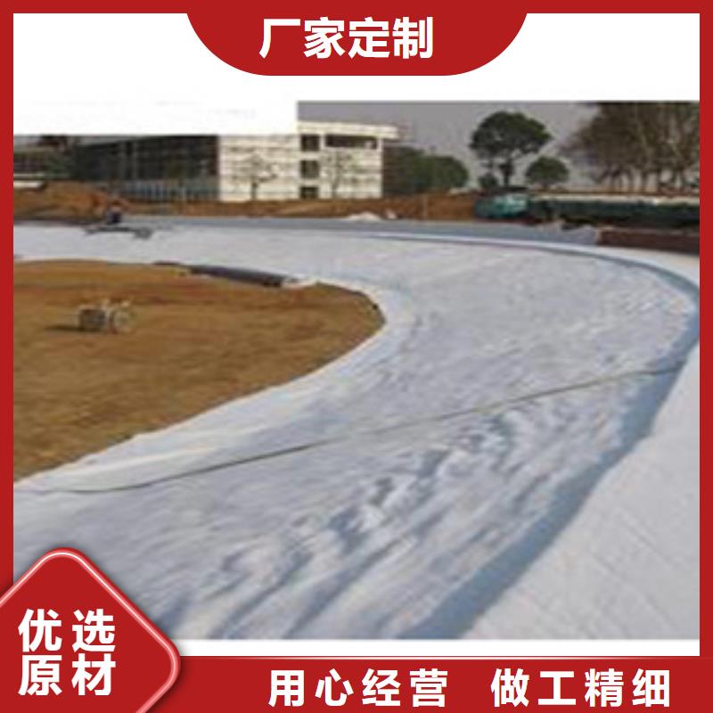 防水毯土工膜厂家好品质选我们