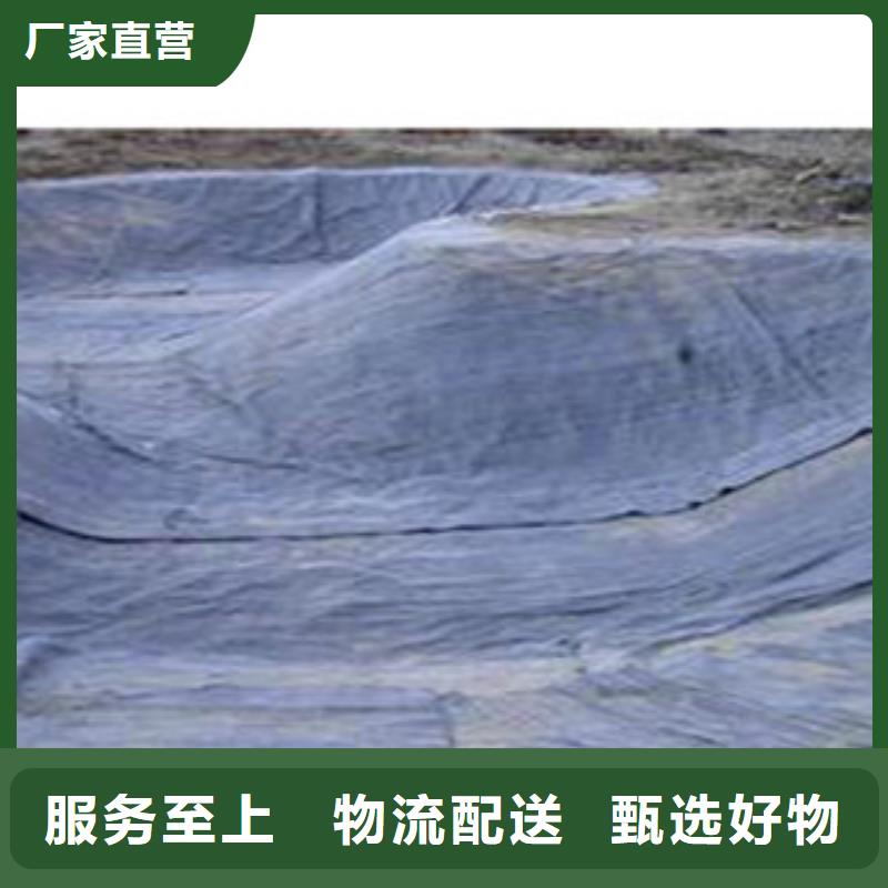 防水毯生态袋厂家库存齐全厂家直供