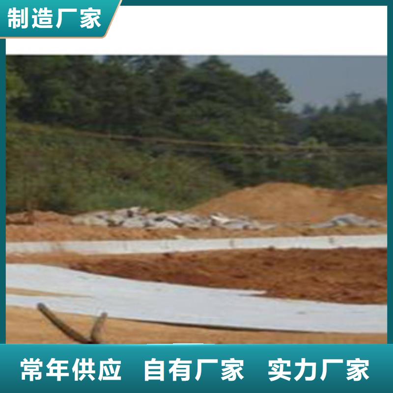 防水毯蓄排水板厂家厂家货源稳定