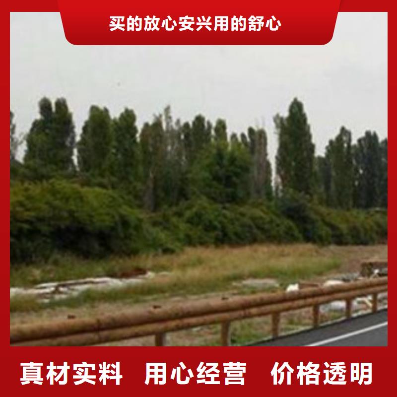钢背木护栏LED灯光护栏价格低