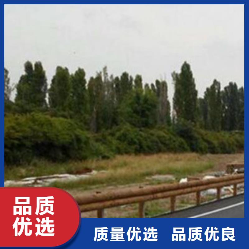 钢背木护栏不锈钢桥梁护栏实力才是硬道理