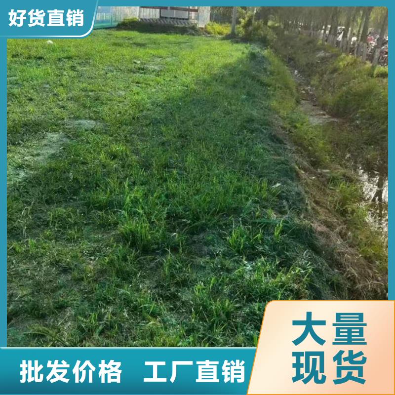 铁路抑尘剂好品质用的放心
