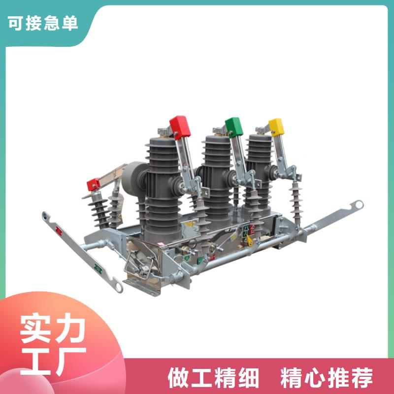 湛江ZW32-40.5/T630真实拍摄品质可靠