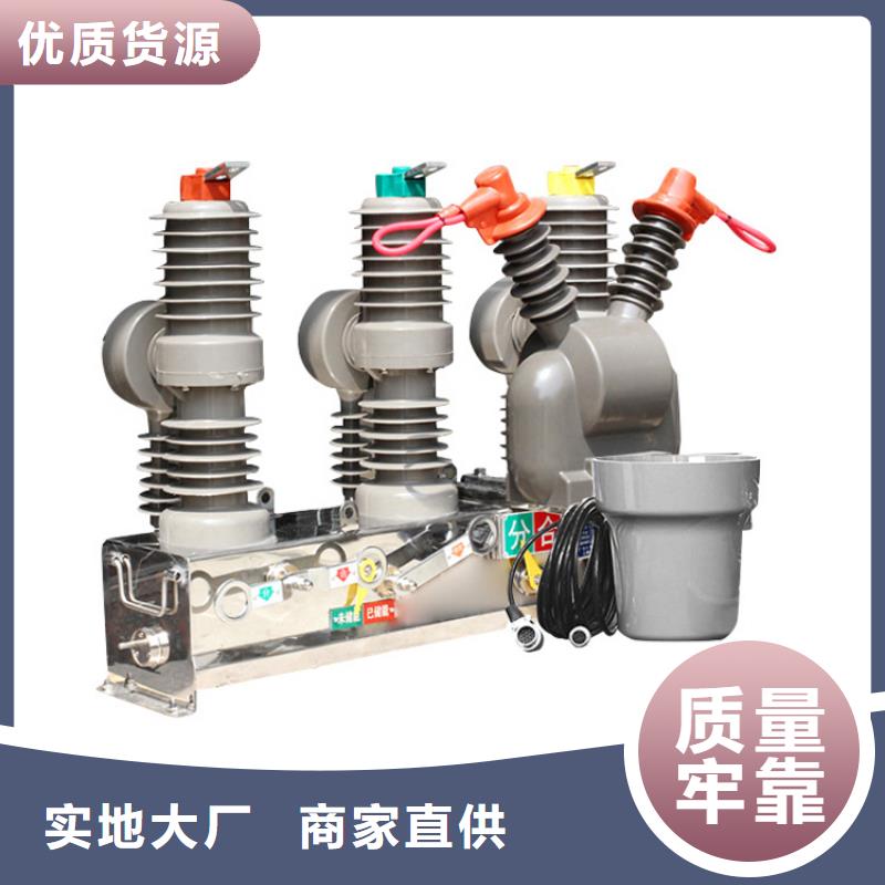 湛江ZW32-40.5/T630真实拍摄品质可靠