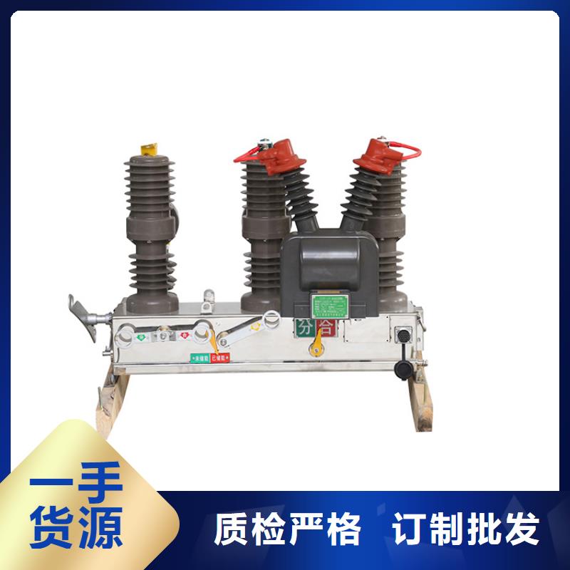 黄石ZW32A-12G/630-12.5专业生产