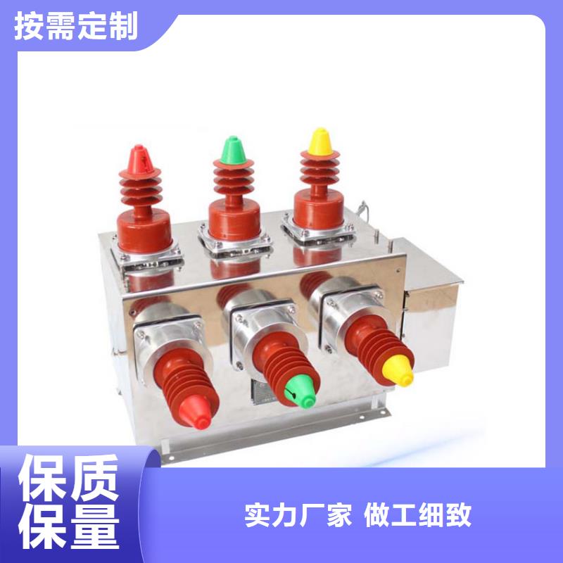湛江ZW32-40.5/T630真实拍摄品质可靠