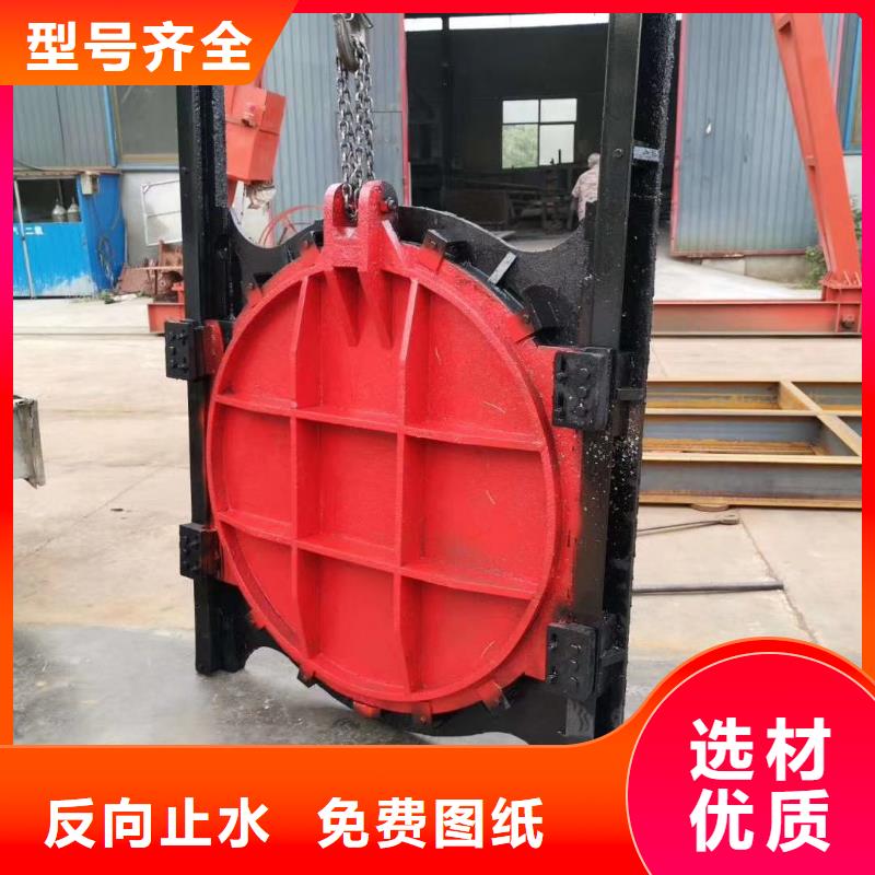 张掖水产养殖平面拱形闸门性能可靠