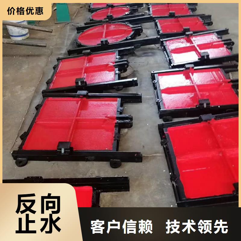 红河水电站渠道闸门技术成熟
