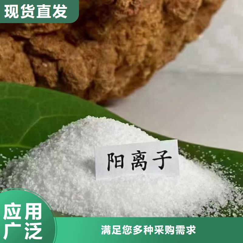 非离子聚丙烯酰胺絮凝能手