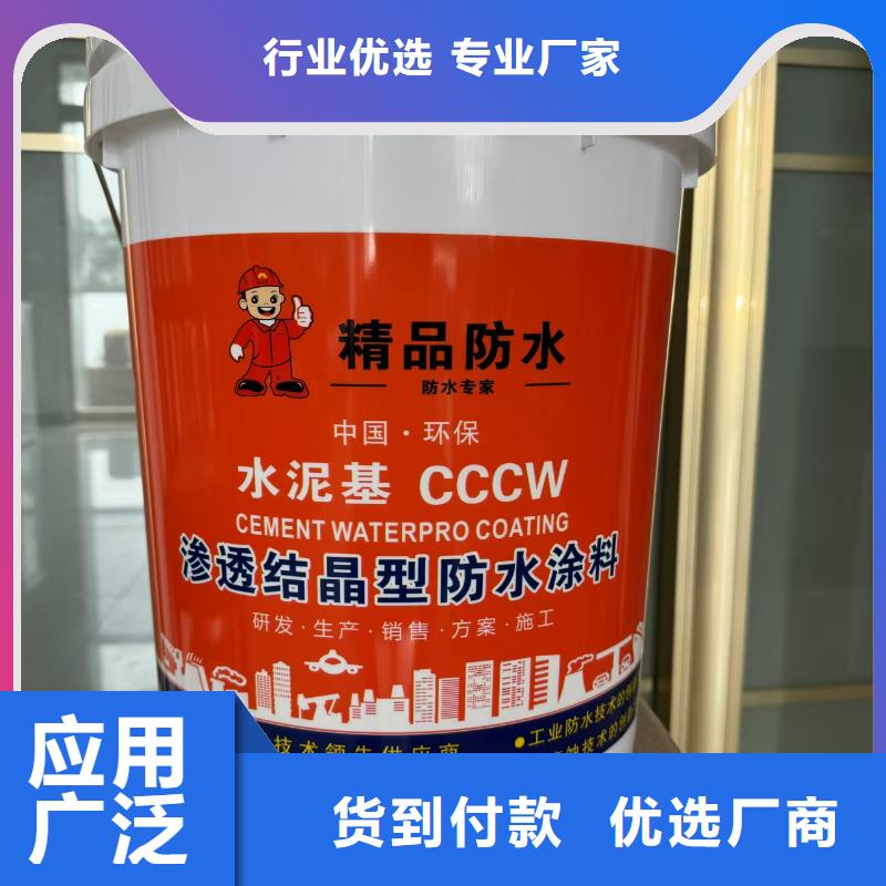 EMA-II型防腐防水涂料多行业适用应用广泛乙烯基酯混凝土结构防腐防水涂料