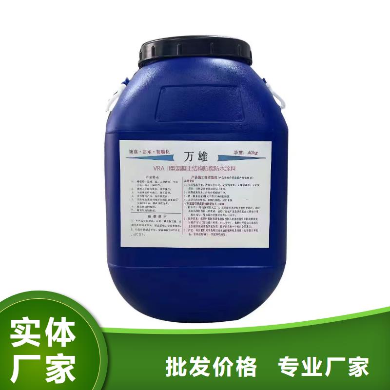 高弹性环氧改性防腐涂料工厂直营直销乙烯基酯柔性防腐防水涂料