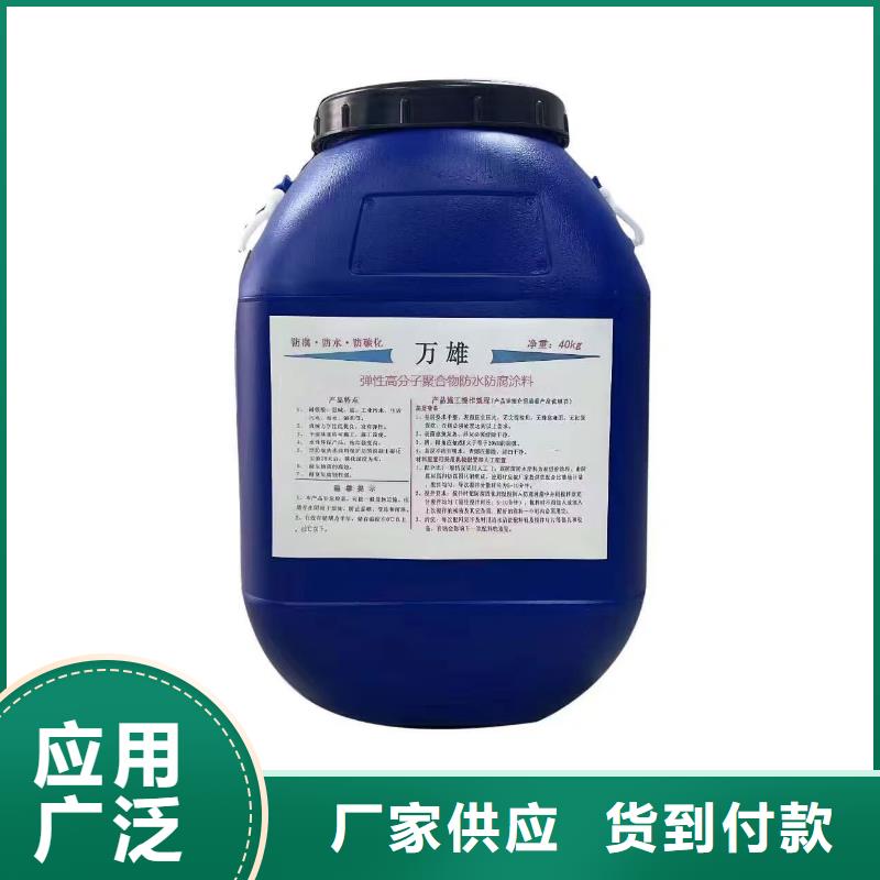 EMA弹性环氧改性防腐涂料专业生产实体自闭型防水涂料