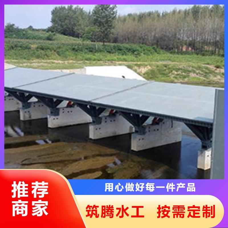 景观闸门规格齐全实力厂家
