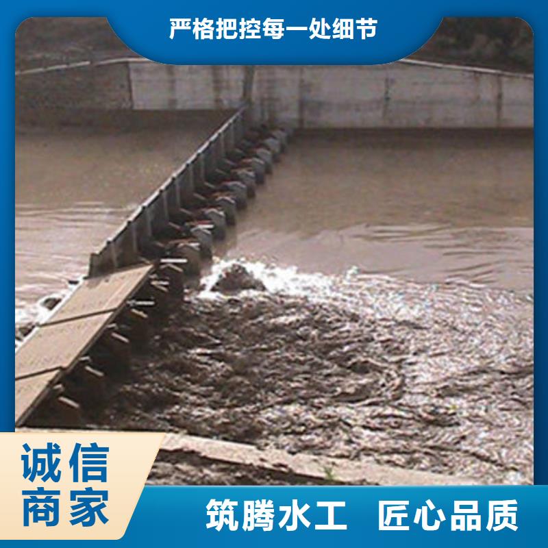 翻板闸门厂家型号齐全