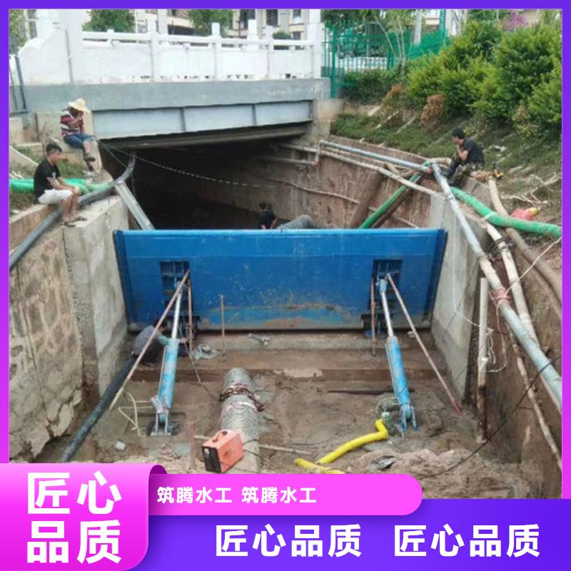 液压式翻板闸门厂家货源