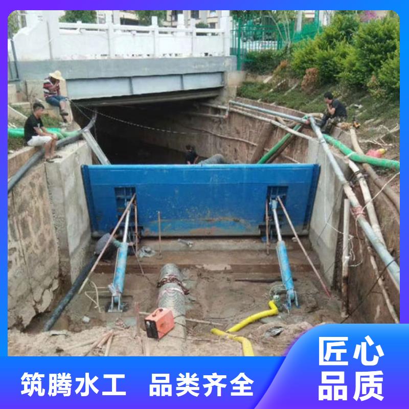 液压式翻板闸门规格齐全实力厂家