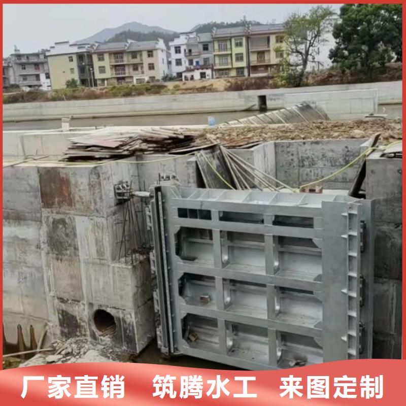 翻板闸门厂家直销