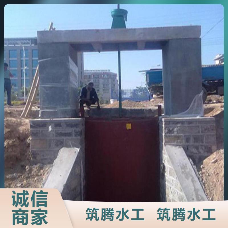 双向镶铜铸铁闸门型号齐全