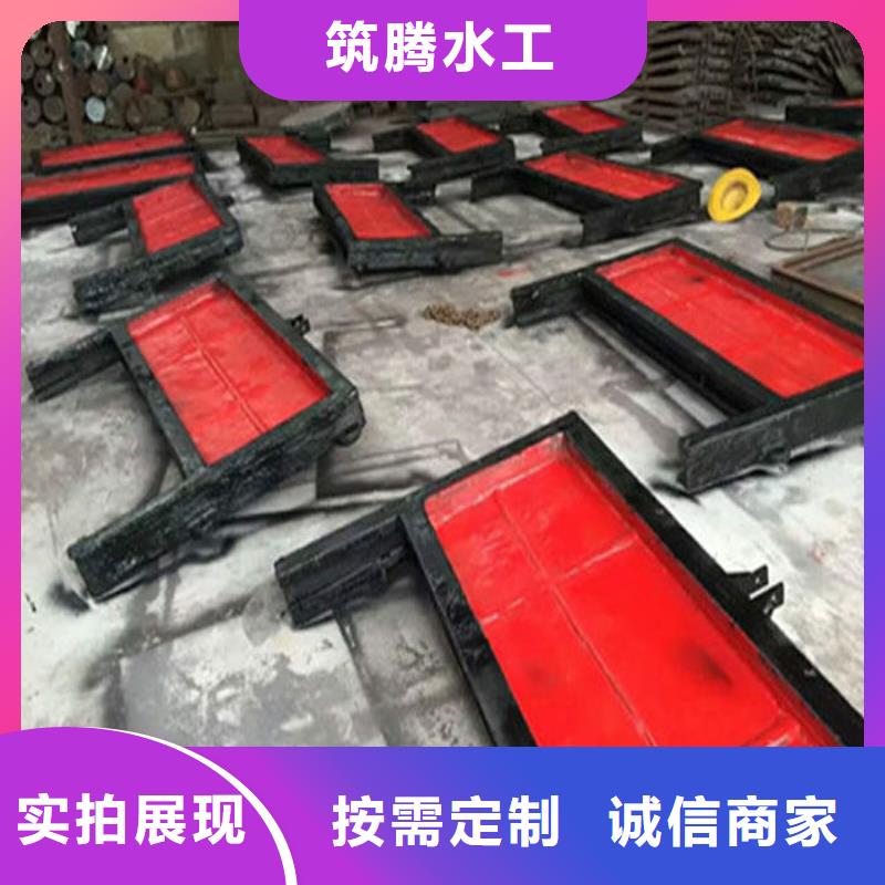 平板铸铁闸门厂家直营