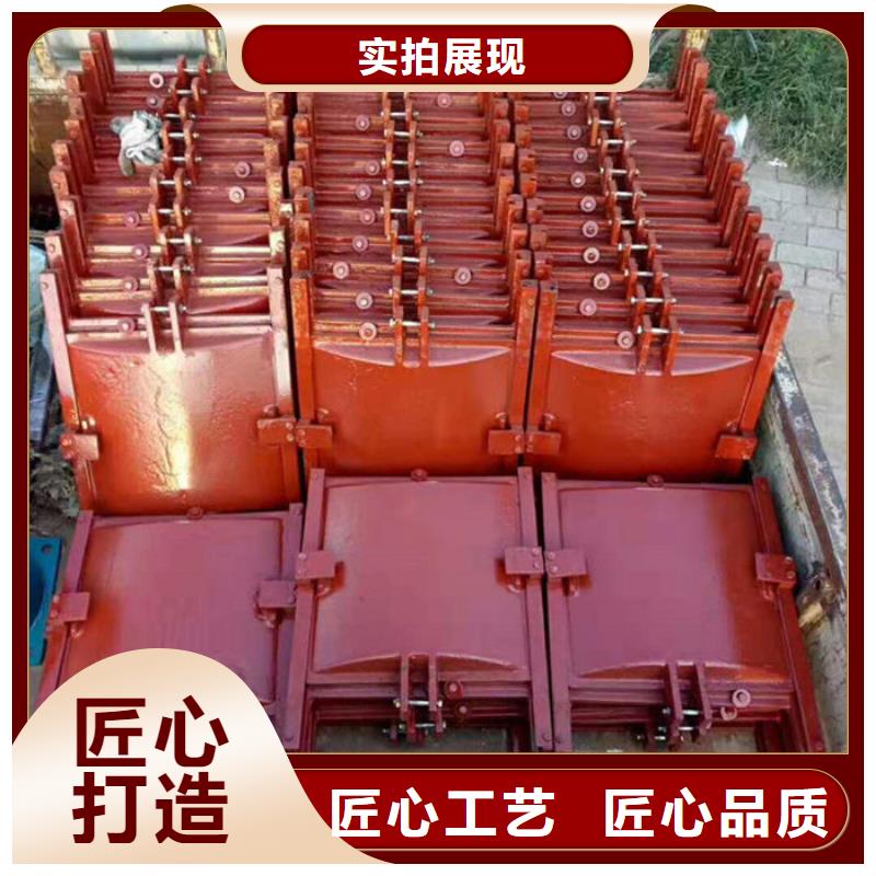双向镶铜铸铁闸门型号齐全