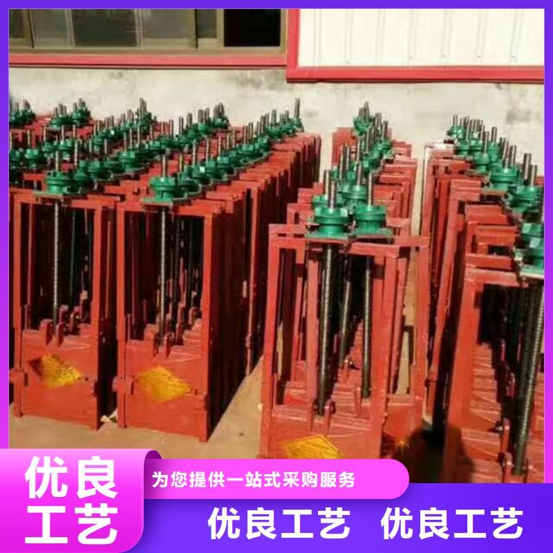 双向镶铜铸铁闸门型号齐全