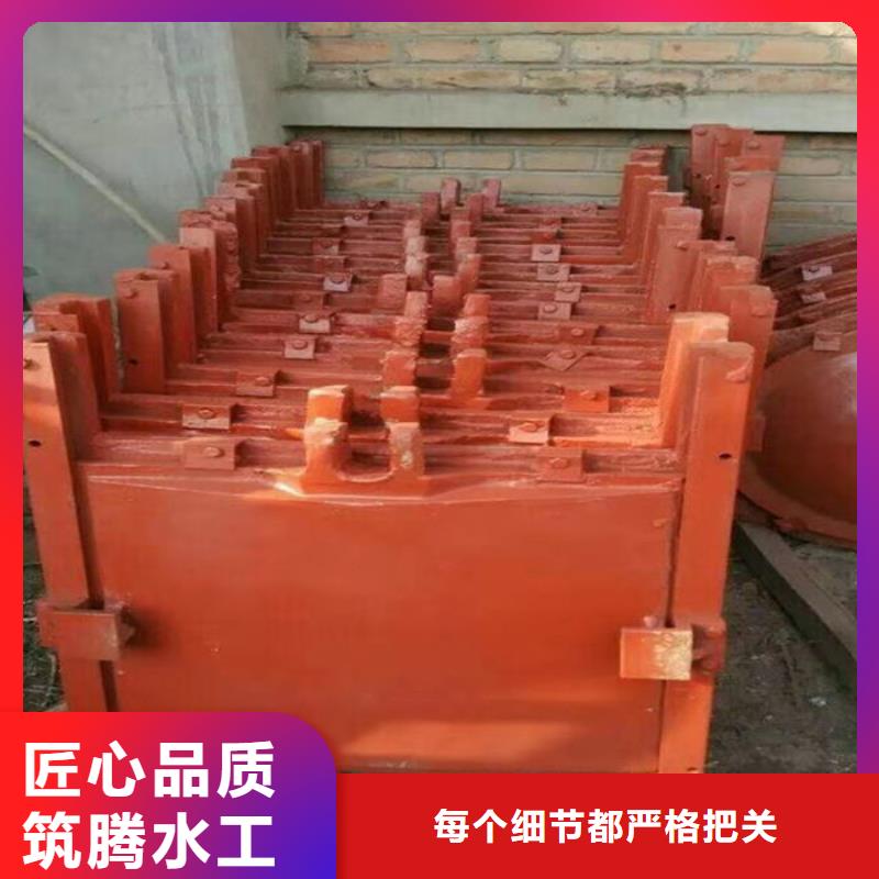 双向镶铜铸铁闸门型号齐全