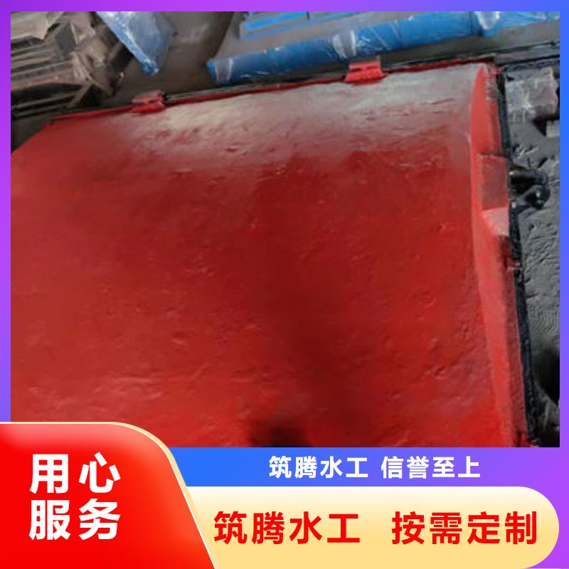 双向镶铜铸铁闸门型号齐全