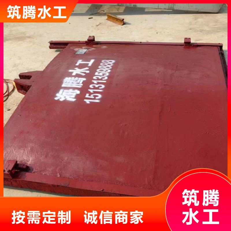 双向镶铜铸铁闸门型号齐全
