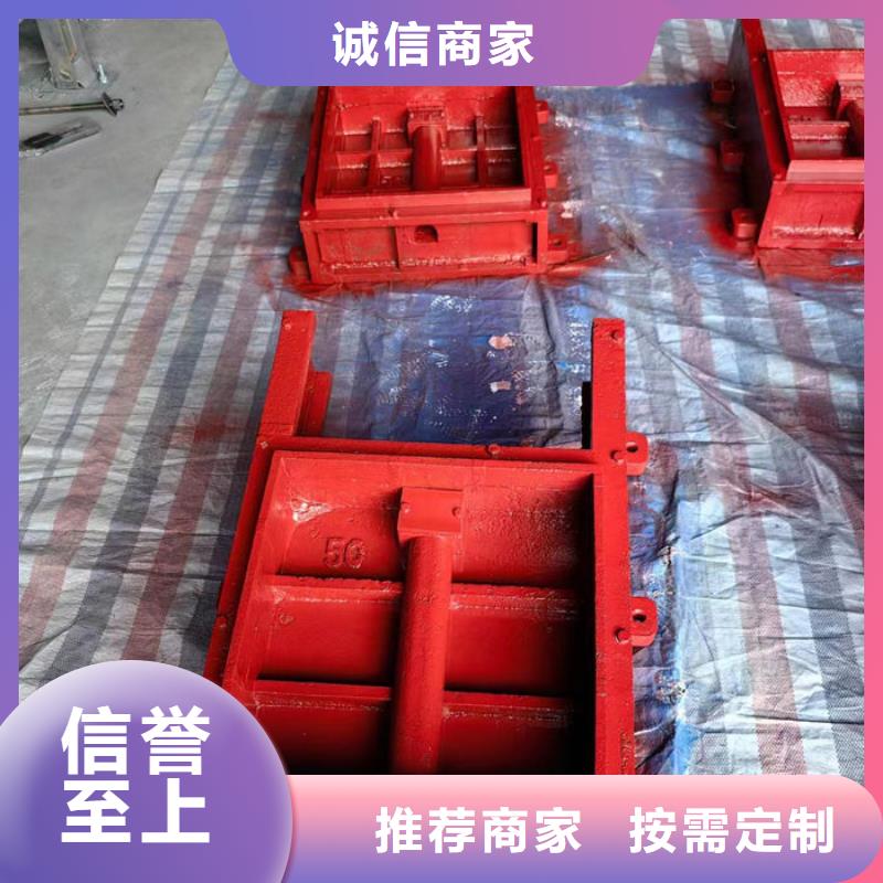 明杆式铸铁闸门诚信为本