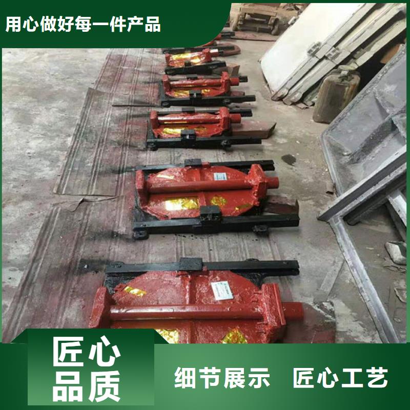 双向镶铜铸铁闸门型号齐全