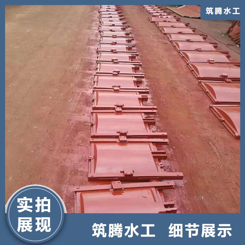 弧形铸铁闸门诚信为本