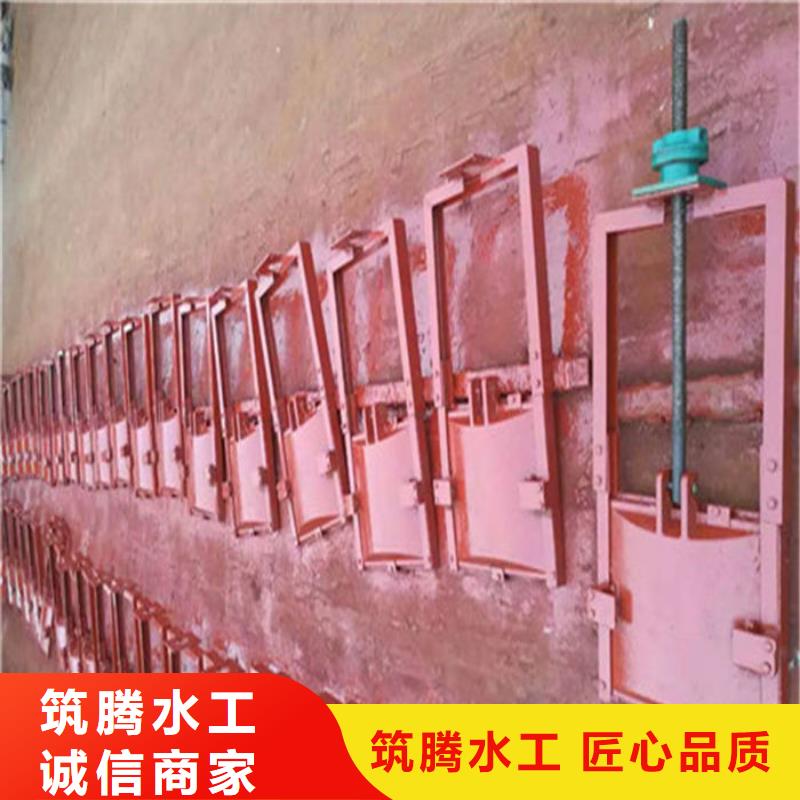 双向镶铜铸铁闸门型号齐全