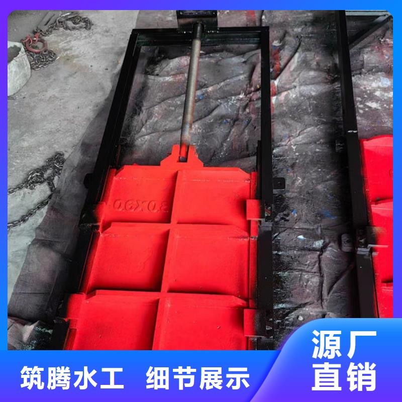 平板铸铁闸门厂家直营