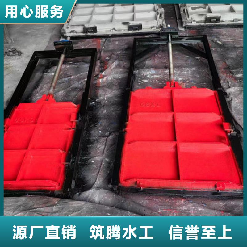 双向镶铜铸铁闸门型号齐全