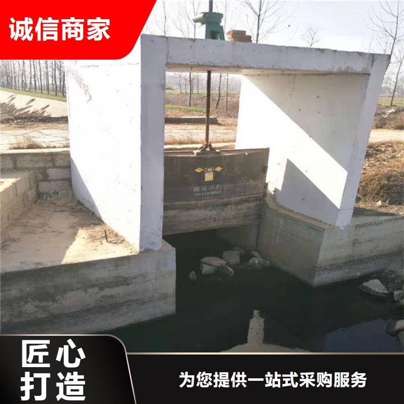 平板铸铁闸门厂家直营