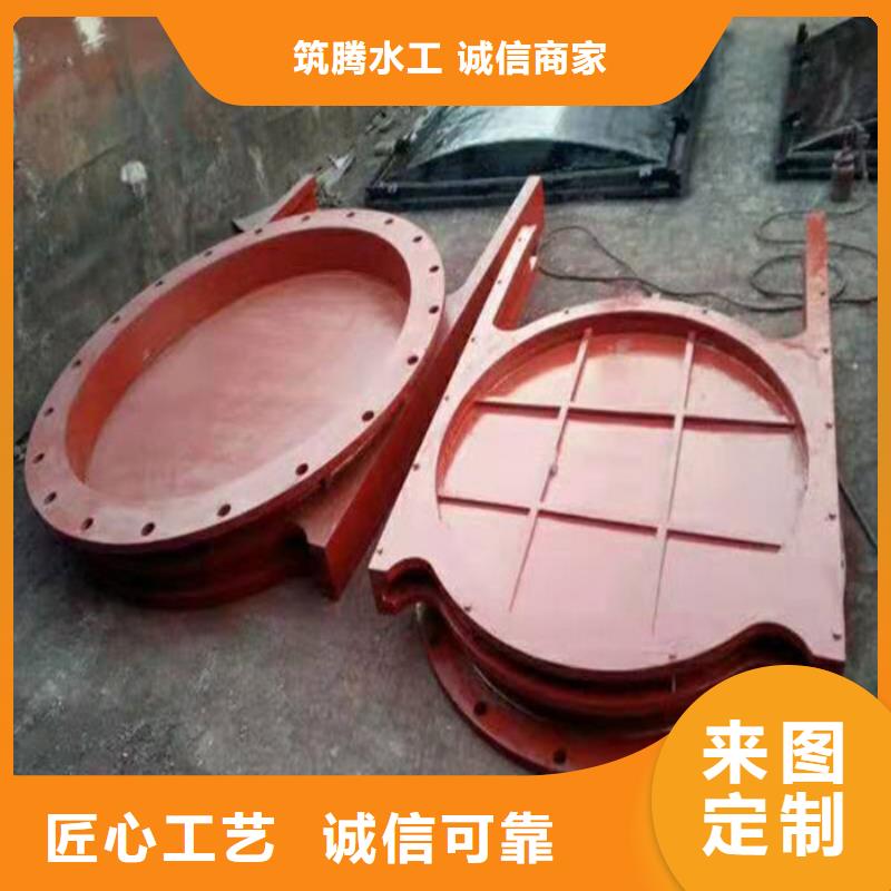 双向镶铜铸铁闸门型号齐全