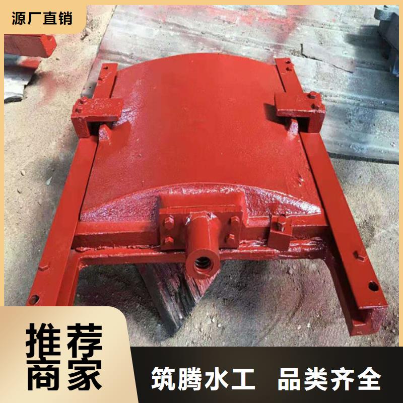 平板铸铁闸门厂家直营